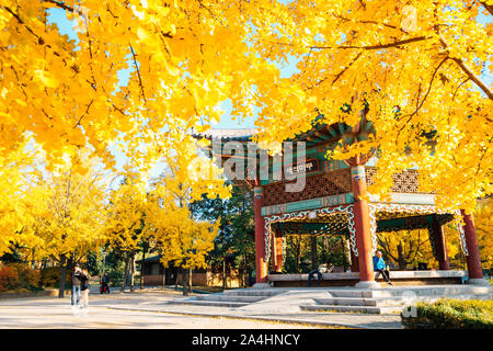 Seoul, Korea - November 2, 2018: Traditionelle koreanische Pavillon mit Herbst ginkgo Bäume am Children's Grand Park Stockfoto