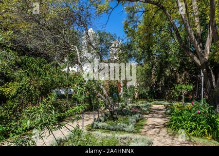 Gärten in die Burg von Tavira, die meistbesuchte Sehenswürdigkeit in Tavira, Algarve, Portugal Stockfoto