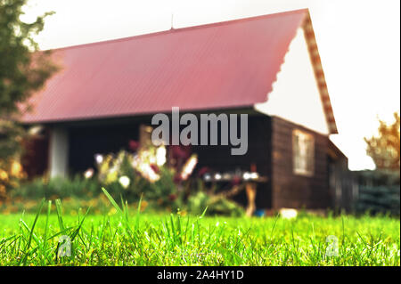 Nahaufnahme der Low-Angle gemäht grünen Grashalmen mit unscharfen Garten im Hinterhof Schuppen oder Sauna im Freien im Hintergrund. Kopieren Sie Platz. Stockfoto