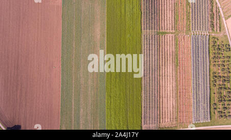 Overhead von Oben nach Unten drone Schuß eines l gepflügten Feldes. Der Bauernhof Feld und Erntegut form Streifen quer Gelände. Stockfoto