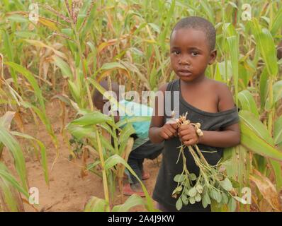 (191015) - Peking, 15. Oktober 2019 (Xinhua) - Kinder spielen in Dürre-hit-Felder in Macheke, Mashonaland East Province, Simbabwe, 10. März 2019. (Foto von Shaun Jusa/Xinhua) Stockfoto