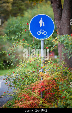 Ein straßenschild Fußgängerweg und cykling Pfad bicykle unterzeichnen. Das Zeichen ist mit Blättern und Bäumen umgeben, und es gibt eine Rose hip Bush neben dem s Stockfoto