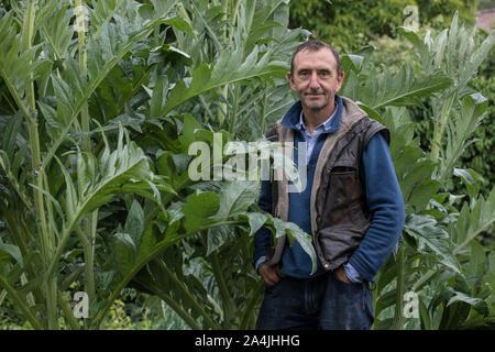 Dave Goulson, Professor der Biologie. Spezialisiert auf die Ökologie und die Erhaltung der Insekten, insbesondere Hummeln in Sussex, England, Großbritannien Stockfoto