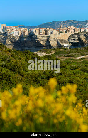 Die Limestone Küste Landschaft und clifftop Zitadelle Stadt Bonifacio liegt an der südlichen Spitze von der französischen Insel Korsika - Corse du Sud Frankreich Stockfoto