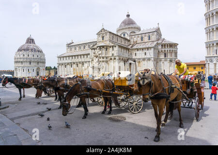 Italien, Toskana, Pisa, Piazza dei Miracoli, Wagen für Touristen Stockfoto