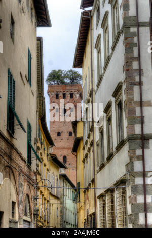 Italien, Toskana, Lucca, Guinigi Turm Stockfoto