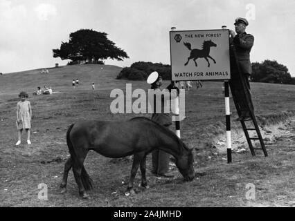 Vorsicht vor Tieren AA Road Sign in Lyndhurst, New Forest 1955. Stockfoto