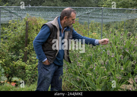 Dave Goulson, Professor der Biologie. Spezialisiert auf die Ökologie und die Erhaltung der Insekten, insbesondere Hummeln in Sussex, England, Großbritannien Stockfoto