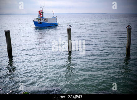 13. Oktober 2019, Mecklenburg-Vorpommern, Timmendorf (Poel): Nach einer Angeltour auf der Ostsee, ein Fischerboot Köpfe für den kleinen Hafen auf der Insel Poel. Die EU-Fischereiminister über die Fangquoten in der Ostsee für das Jahr 2020 in Luxemburg. In Anbetracht der kritischen Lage vieler Bestände, Fischer könnte erhebliche Beschränkungen gelten. Foto: Jens Büttner/dpa-Zentralbild/dpa Stockfoto