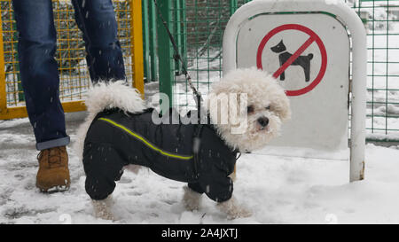 Hund im Winter Jacke steht mit seiner Eigentümer vor dem Zeichen keine Hunde während der schneereichen Winter erlaubt. Stockfoto