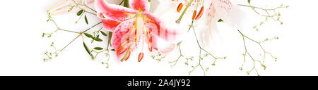 Blumen Komposition. Rahmen aus rosa und weisse Lilie Blumen auf weißem Hintergrund. Flach, Ansicht von oben, kopieren. Stockfoto