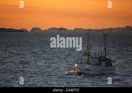 Fischerboot. Tysfjord, Ofoten, Nord Norwegen (Nord-Norge) Stockfoto