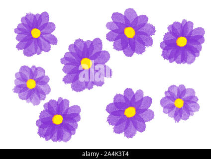 Abbildung: Digitale Aquarelle Blumen mit lila, lila Blüten und gelben Center, auf dem weißen Hintergrund. Stockfoto