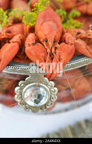 Gekochte Krabben/Krebse mit Dill in Glasschale - Gourmet Stockfoto