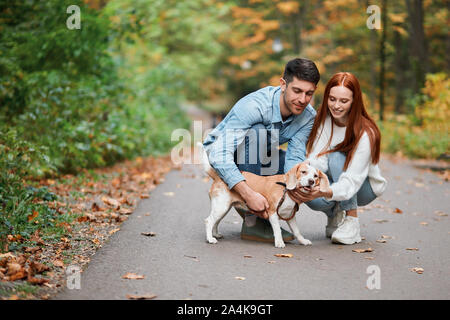 Die jungen, gut aussehenden Mann und Frau ihren Hund erziehen, volle Länge Foto. schöne Landschaft im Hintergrund des Fotos Stockfoto