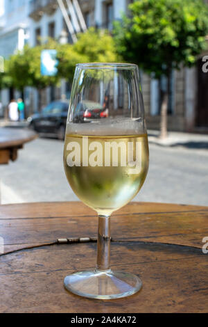 Sherry Wein Tasting, trocken oder Palomino Fino, Manzanilla Jerez mit Alkohol angereicherter Wein in Gläsern, Jerez de la Frontera, Andalusien, Spanien in der Nähe von Stockfoto