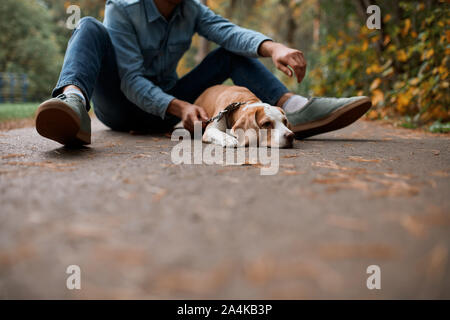 Unglücklich kranken Hund liegend auf der Straße müde, mit einem Rest nach einem Spaziergang mit männlichen Besitzer, Nahaufnahme, 7/8-Foto Stockfoto