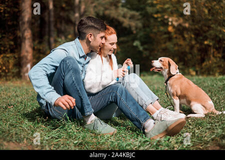 Junge fröhliche Mann und Frau Lehre ihren Hund zum Ausführen von Befehlen, Nahaufnahme, Seite, Ansicht Foto Stockfoto