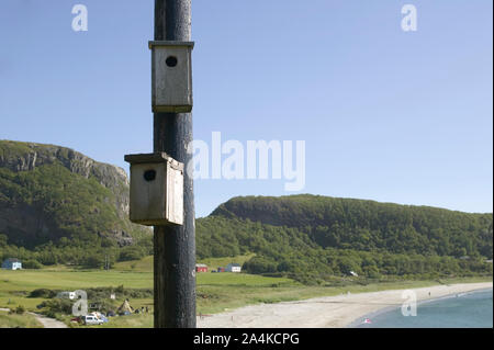 Stokkøya - Vogel - Gehäuse - Vogelhaus Stockfoto