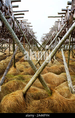 Trockenständer in RÂØst. Stockfoto