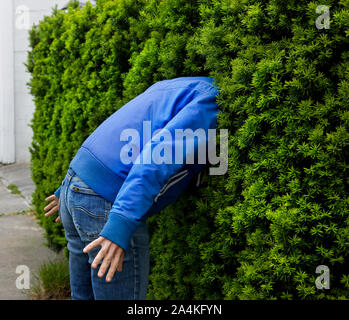 Mann mit Kopf in der Hecke - Verwirrung - Verstecken - Flucht Stockfoto