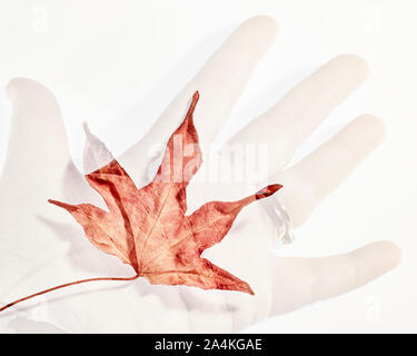 Doppel Belichtung einer Herbst Blatt auf einer Hand Stockfoto