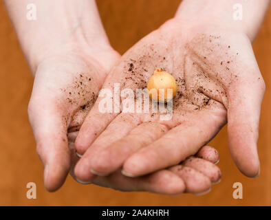 Frau mit Blume Glühlampe Stockfoto