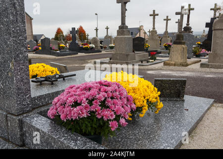 Chrysantheme Pflanzen auf Grabsteine für Allerheiligen Stockfoto