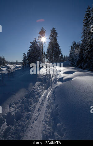 Skipisten im Winter Landschaft Stockfoto