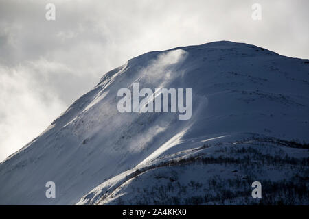 Gregorshornet in Stordal - die Baumgrenze Stockfoto