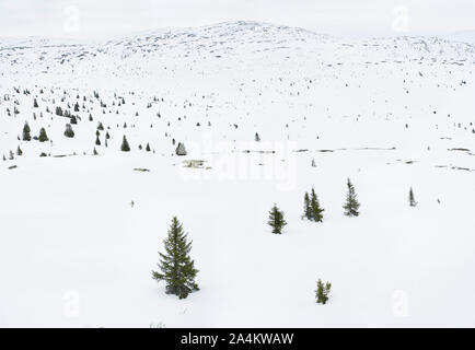 Berggebiet Sulseter in Norwegen Stockfoto