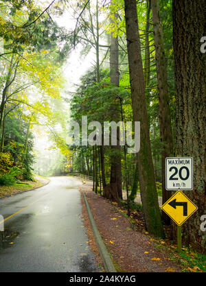 Einer nebligen Wald Straße (Capilano Park Road) Im Küstenregenwald in Capilano River Regional Park in North Vancouver, British Columbia, Kanada. Stockfoto