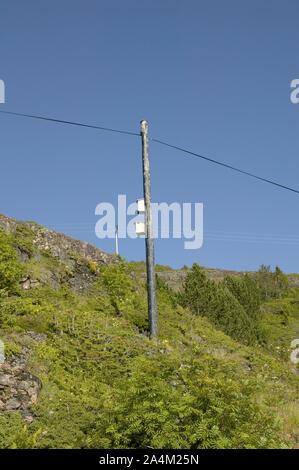 Stokkøya - Vogel - Gehäuse Stockfoto