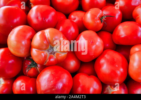 Fresh, Plump Red Beef Tomatoes  Stockfoto