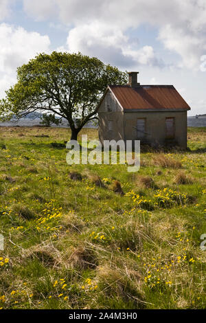Altes haus von Gamlemshaugen in Haram Stockfoto