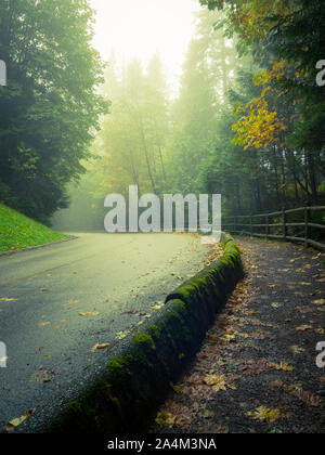 Einer nebligen Wald Straße (Capilano Park Road) Im Küstenregenwald in Capilano River Regional Park in North Vancouver, British Columbia, Kanada. Stockfoto