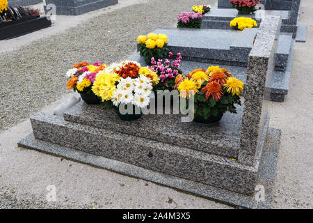 Chrysantheme Pflanzen auf Grabsteine für Allerheiligen Stockfoto