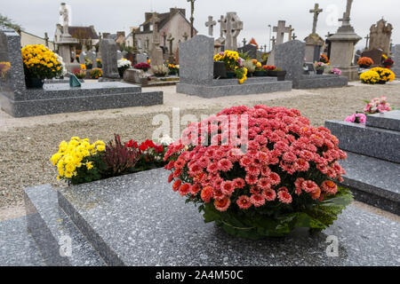 Chrysantheme Pflanzen auf Grabsteine für Allerheiligen Stockfoto