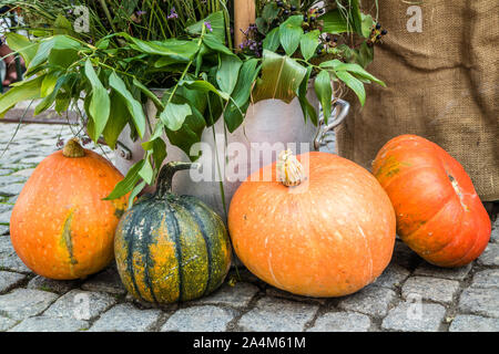 Kürbisse mit Blumen auf dem Boden Stockfoto