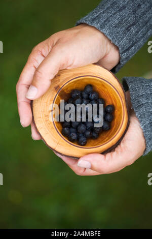 Holding Holz- Schale mit Beeren Stockfoto