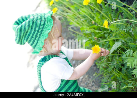 Portrait von Kind Blumen pflücken Stockfoto