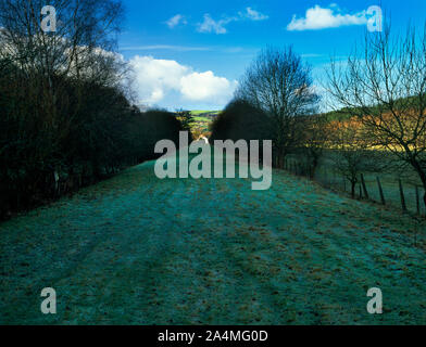 Anzeigen NW aus alten Pandy Mühle entlang der ehemaligen Schimmel und Denbigh Junction Railway an Afon - wen, Flintshire, Wales, UK. Stockfoto