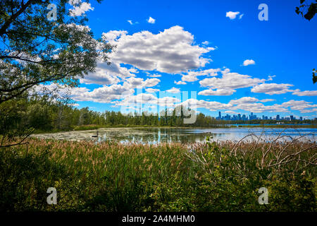 Toronto Skyline von Tommy Thompson Park Stockfoto