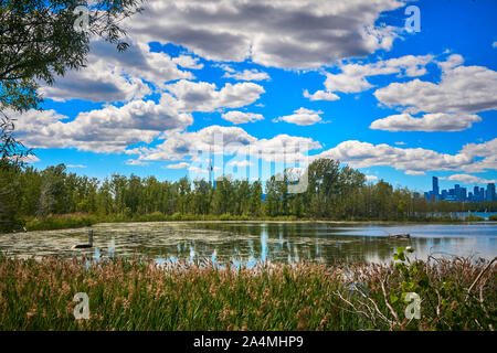 Toronto Skyline von Tommy Thompson Park Stockfoto