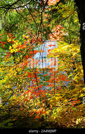 Herbst Szene in Baysville und hohe Wasserfälle in der Nähe von Bracebridge, Ontario, Kanada in Muskoka mit schönen und bunten Bäume im Herbst folige. Stockfoto