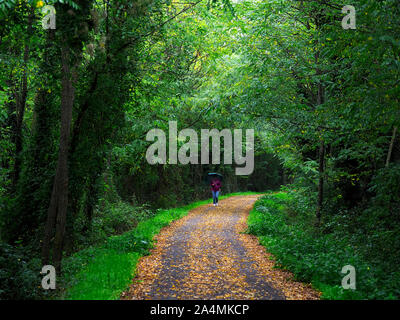 AULLA, LUNIGIANA, ITALIEN - Oktober 14, 2019: Die aulla Greenway ist ein Rad- und Fußweg die Nutzung der alten Bahnstrecke. Flucht in die Natur. Stockfoto