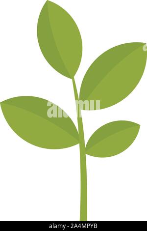 Matcha Werk Symbol. Flache Darstellung von Matcha anlage Vektor Symbol für Web Design Stock Vektor