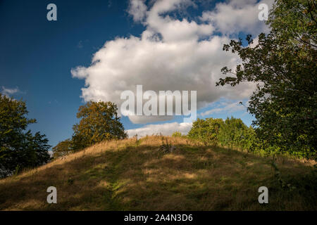 Der neue König Schubkarren in Stonehenge, Salisbury, Wiltshire, UK Stockfoto