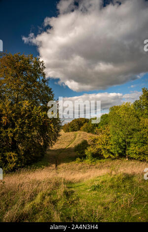 Der neue König Schubkarren in Stonehenge, Salisbury, Wiltshire, UK Stockfoto