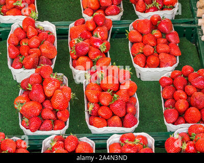 Bio Erdbeeren Shop Stockfoto